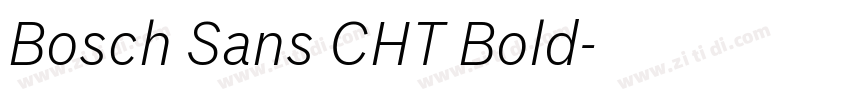 Bosch Sans CHT Bold字体转换